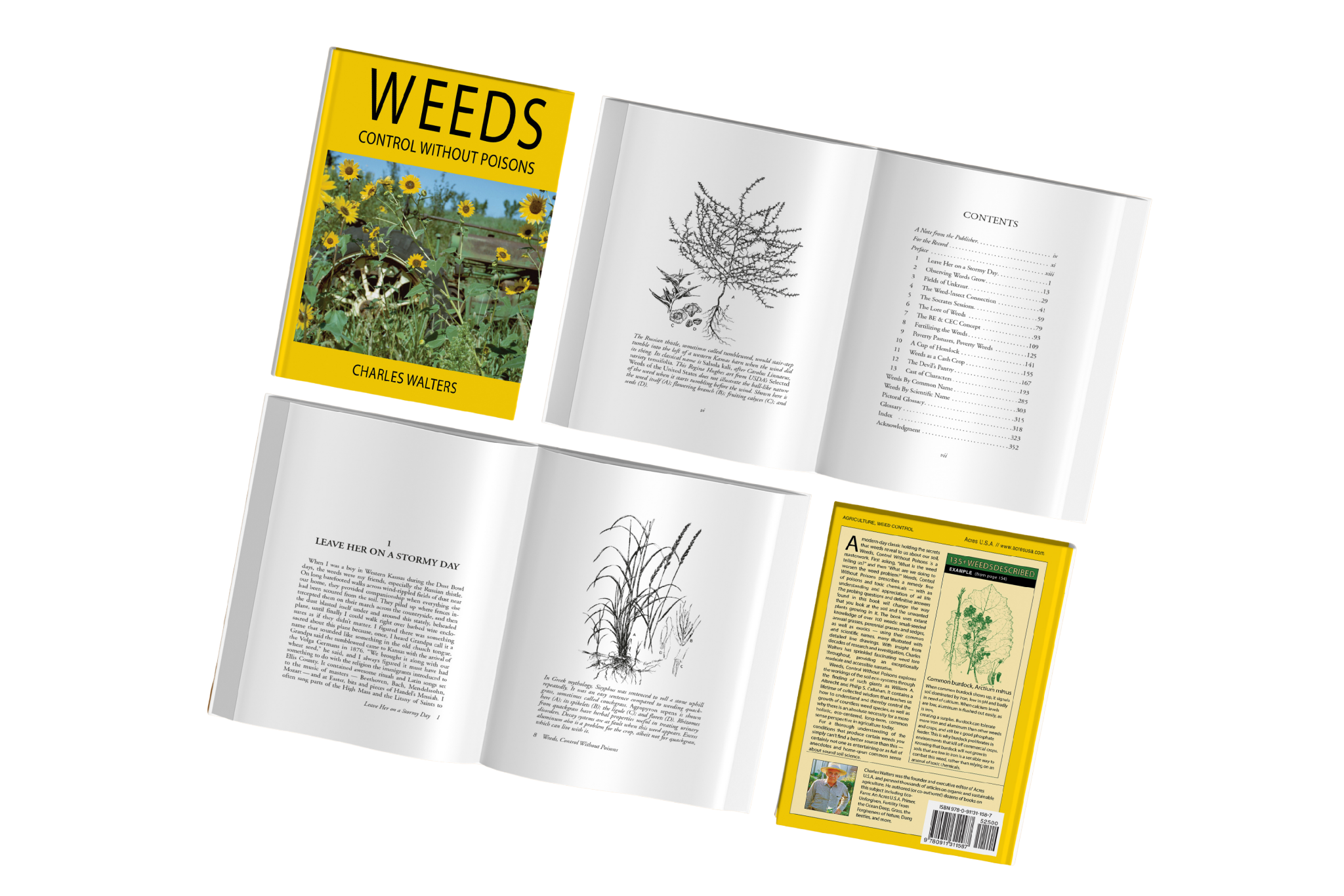 Premium Book Formatting