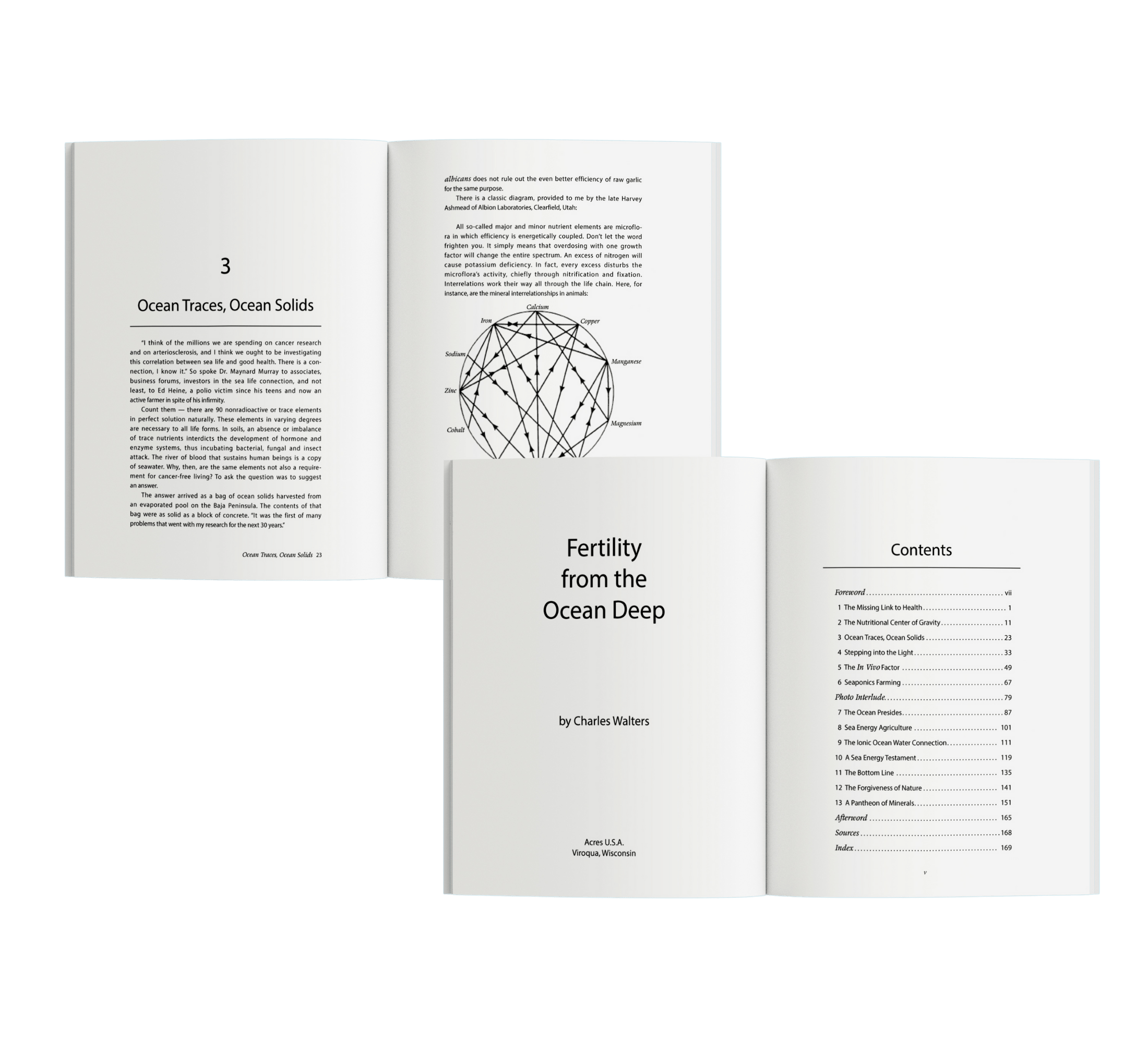 Premium Book Formatting