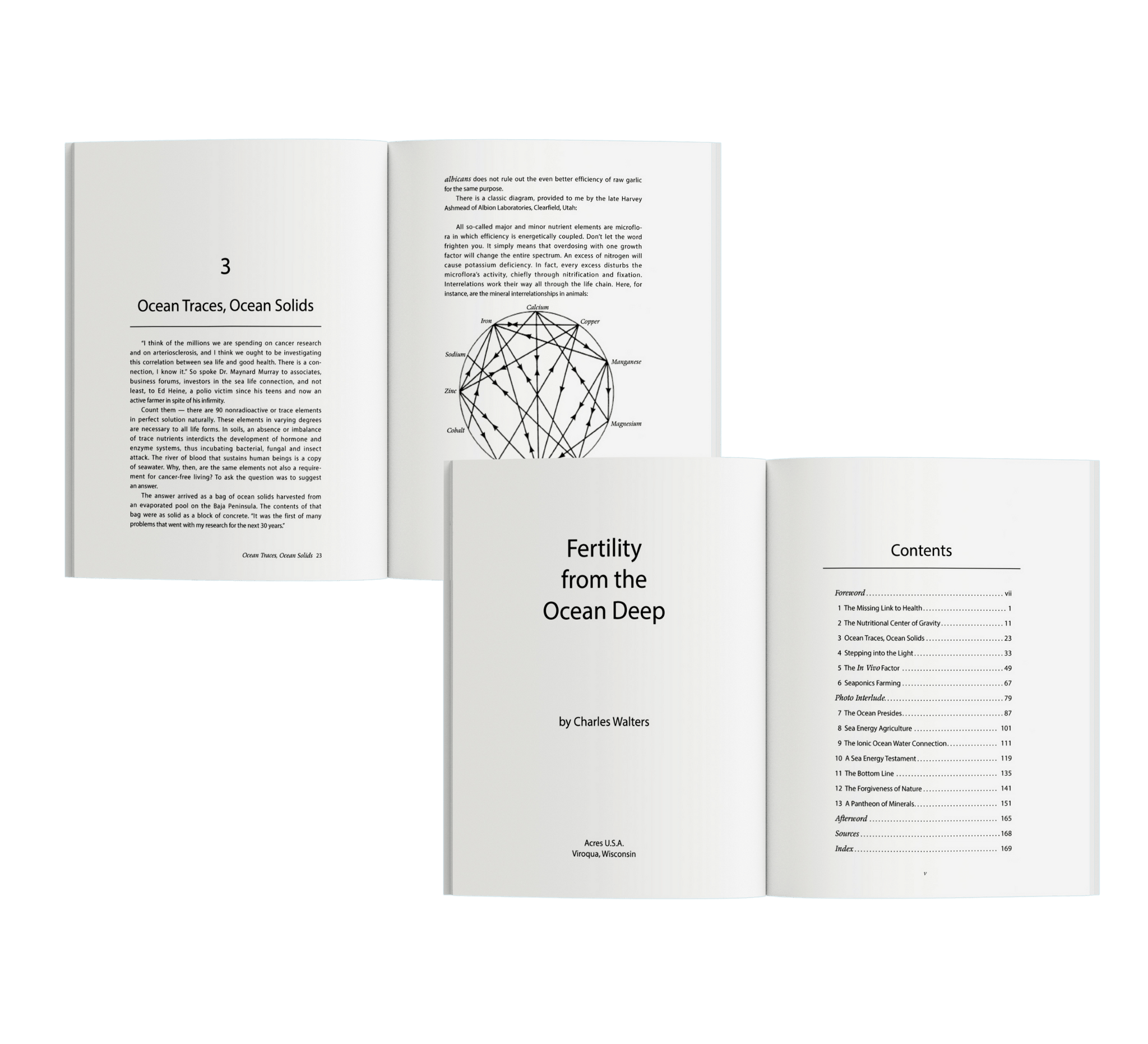 Premium Book Formatting