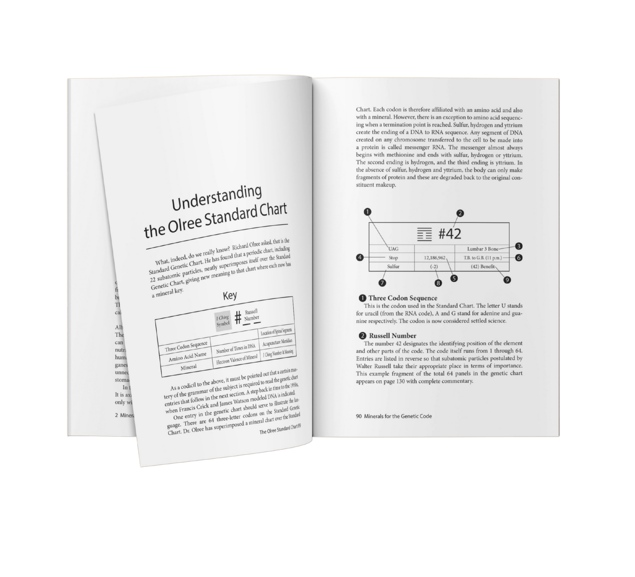 Premium Book Formatting